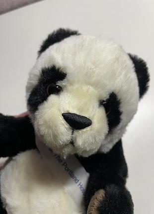 Реалістична панда 🐼 6