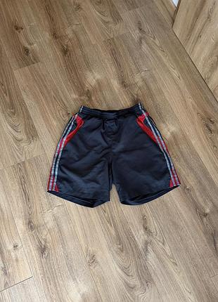 Чоловічі спортивні шорти adidas