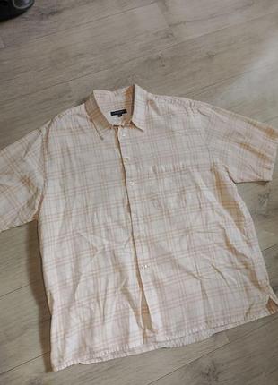 Burberry london vintage shirt соррчка барберрі