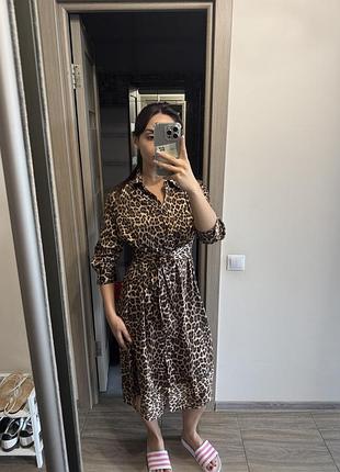 Плаття з комірцем zara