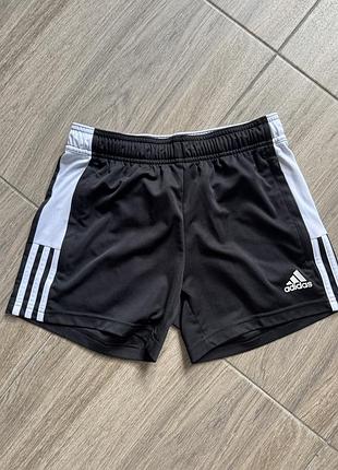 Шорти спортивні adidas