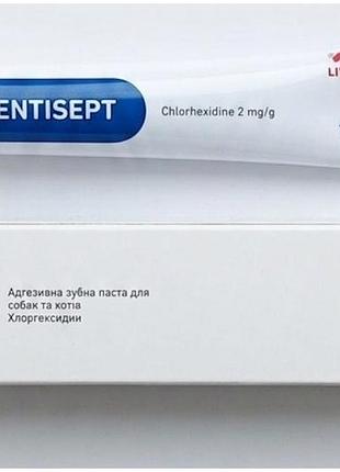 Адгезивна паста з хлоргексидином дентисепт 20 г