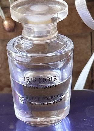 Мініатюра iris noir