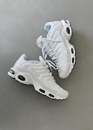 Кроссовки мужские nike air max tn plus white/grey
