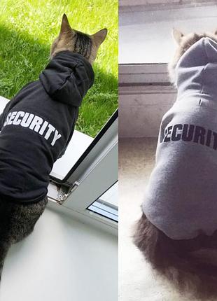 Одяг для домашніх тварин , толстовка security для котів, розмір м