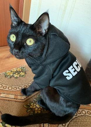 Одежда для домашних животных, толстовка security для кошек и собак, размер l, цвет черный