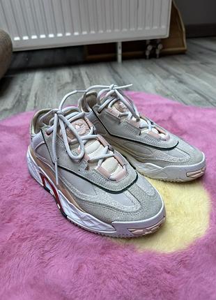 Кросівки adidas niteball