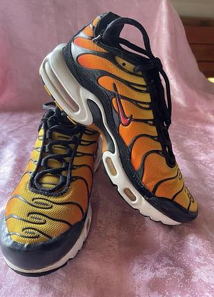 Кроссовки бренда nike air max plus, цвет тигровый, размер 36
