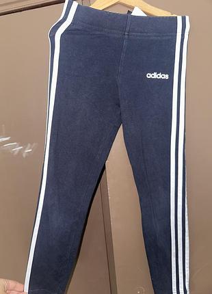 Лосины adidas