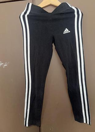 Лосины adidas