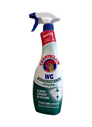 Пена для чистки унитаза chante clair wc disincrostante mousse против известкового налета спрей 625 мл.