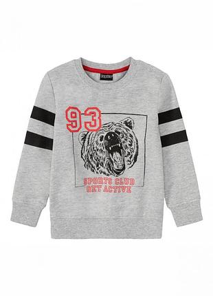 Свитшот двунитка для мальчика lupilu lycra® 386731 110-116 см (4-6 years) серый