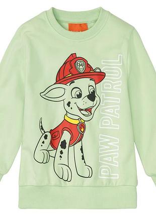 Свитшот двунитка для мальчика disney щенячий патруль 402183 134-140 см (8-10 years) зеленый