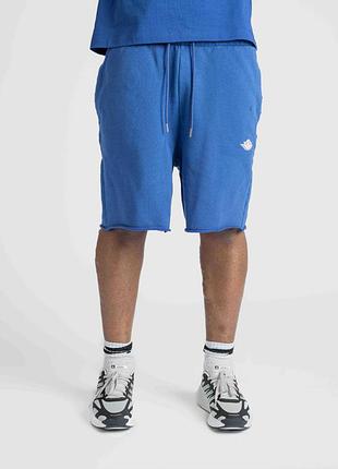 Оригінальні чоловічі шорти nike air jordan rare air french terry shorts blue if1411-470 оригинальные мужские шорты