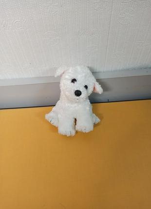 Мягкая собачка ty beanie babies - cargo the dog, маленький и очень милый,