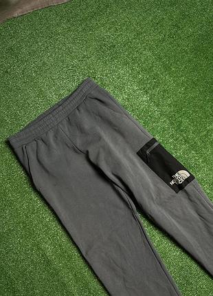 Штани the north face (m)