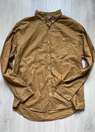 Чоловіча сорочка з довгим рукавом, f&f , xl , бавовна