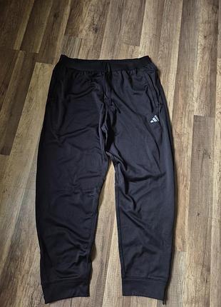 Чоловічі спортивні штани adidas