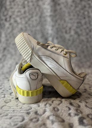Puma carina 🤍💛