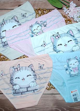 Набір 5 шт трусики 10-11 зріст 146-152 донелла donella котик
