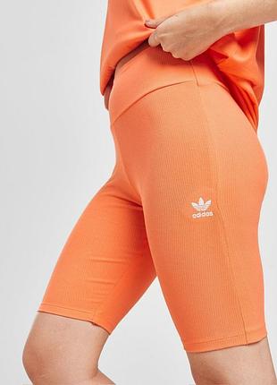 Велосипедки adidas