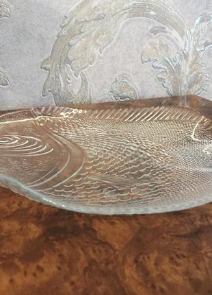 Блюдо велике рибка для закусок і риби