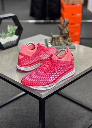 Жіночі бігові кросівки puma speed ignite netfit 2.