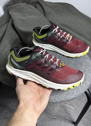 Кросівки merrell antora 3 40.5 26 кроссовки мерелл трекінгові спортивні