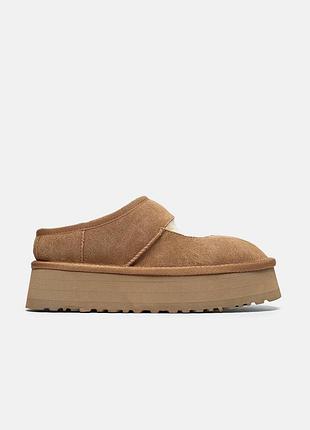Жіночі бежеві уггі ugg bea mary jane platform chestnut beige х угг тасмен 36