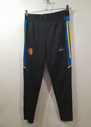 Adidas primeblue чоловічі спортивні штани з кишенями р. s