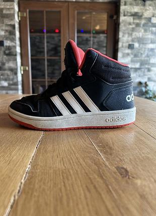 Кросівки чоловічі adidas
