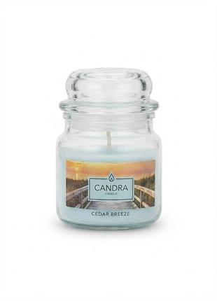 Ароматична свічка в скляній банці candra candle cedar breeze candra candle