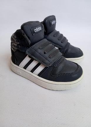 Кросівки adidas