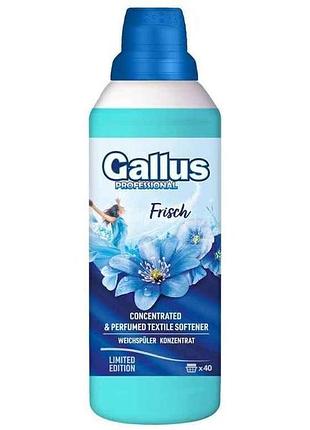 Ополіскувач 1л professional weichspuler frisch для всих типів тканин тм gallus