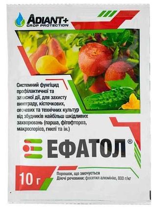Фунгицид эфатол 10г (иноград, косточки, овощные и технические культуры) тм адиант