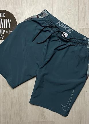 Мужские шорты nike dri-fit, размер l