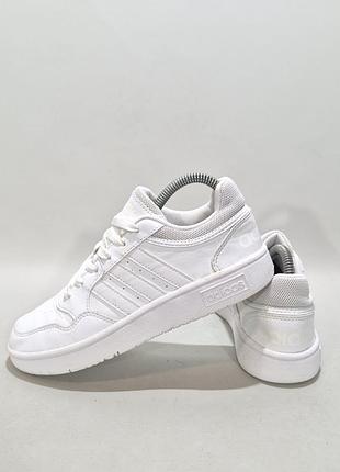 Кросівки adidas