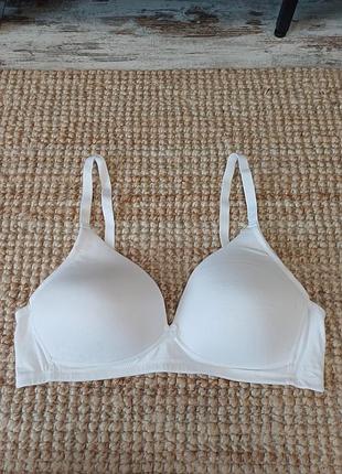 The c&a lingerie-85в-базовий бавовняний бюстгальтер без кісточок