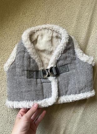 Кожушок для собаки з шлейкою