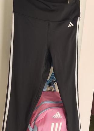 Женские спортивные леггинсы adidas