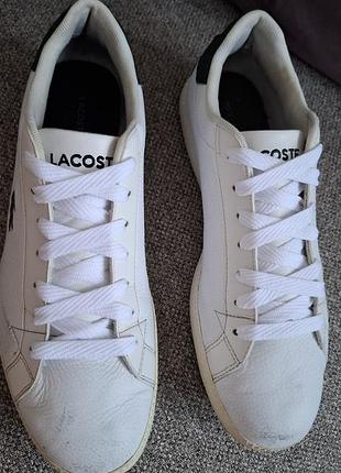 Кеды мужские lacoste