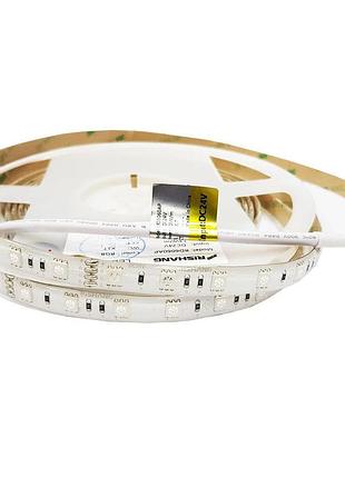 Светодиодная лента 5050-60-ip65-rgb-10-24 rd6060ap rgb