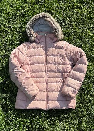 Женский пуховик the north face 550 пух | оригинал