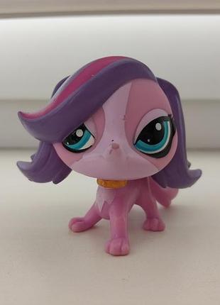 Lps лпс пет шоп петшоп оригинал собака шарнирная изой трент собачка littlest pet shop пет шопы петшоп фигурки игрушки фигурка петс шопы петсшоп