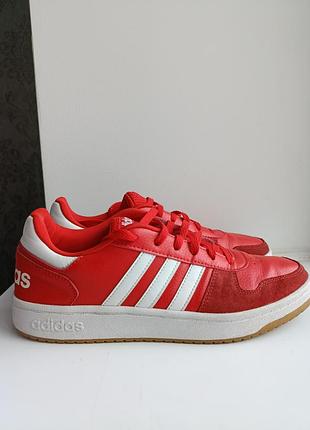 Adidas hoops 2.0 мужские красного цвета