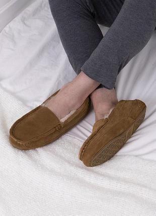 Замшеві капці just sheepskin
harry. eur-42