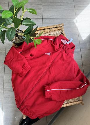 Олімпійка adidas