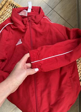 Олімпійка adidas 4