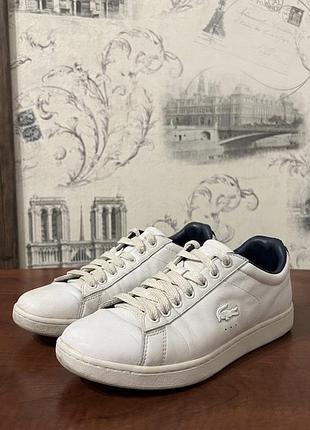 Кросівки lacoste чоловічі