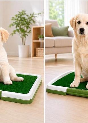 Туалет для собак puppy potty pad mh-872